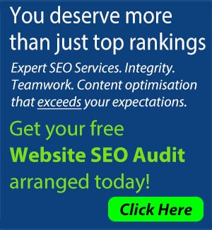 Link to Website Audit page