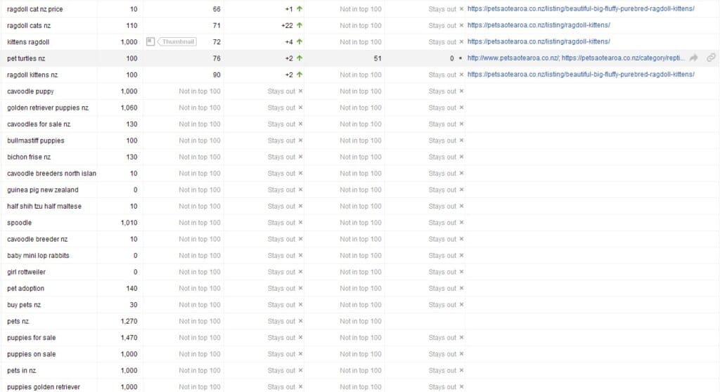 SERPs 2022 06 22b