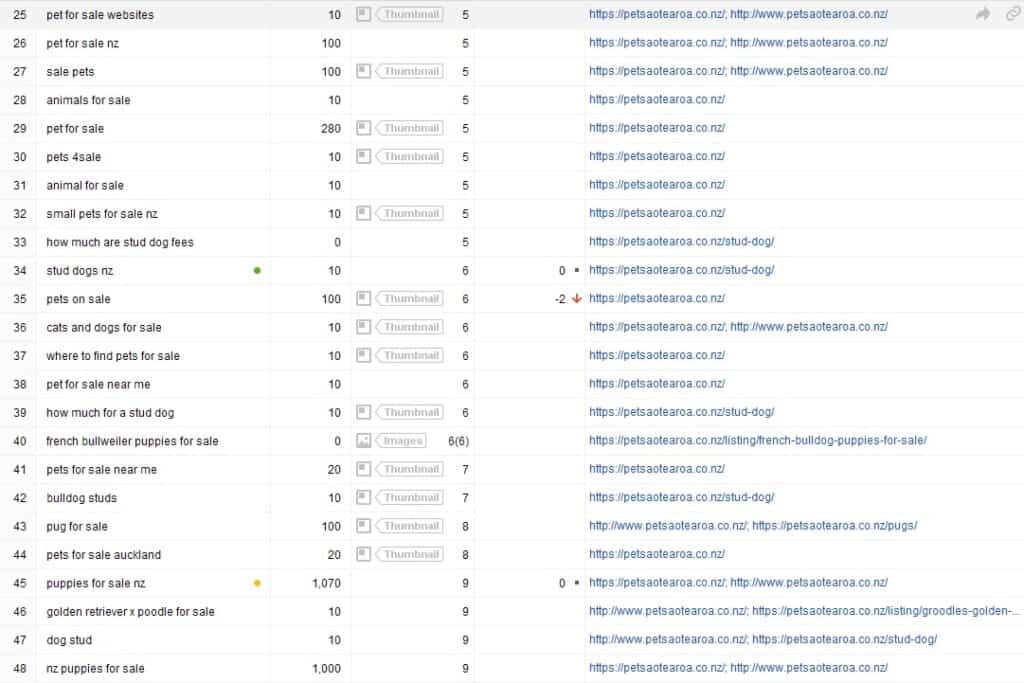 SERPs 2022 07 30b
