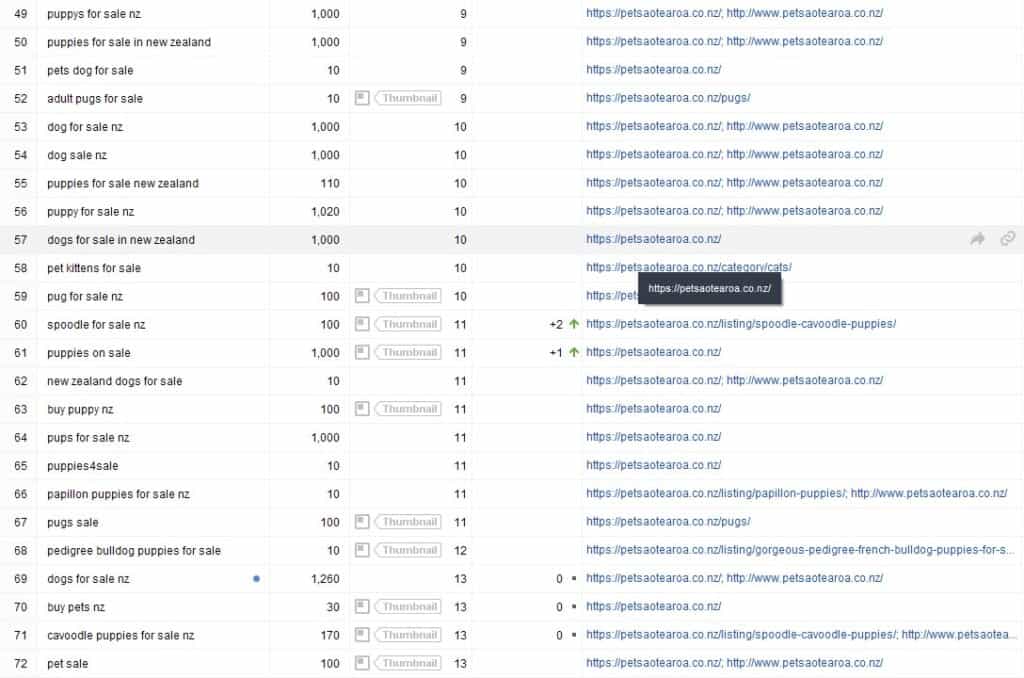 SERPs 2022 07 30c